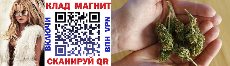 Виды наркоты Пойковский LSD-25 Метадон COCAIN Меф Гашиш Канабис Alpha-PVP