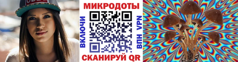 MEGA сайт  Пойковский  Псилоцибиновые грибы мицелий 